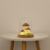 Lámparas de mesa inalámbricas de Amazon Lámparas de champiñón Vintage Night Lights