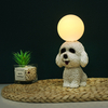 Lámpara de cama para perros de mascota
