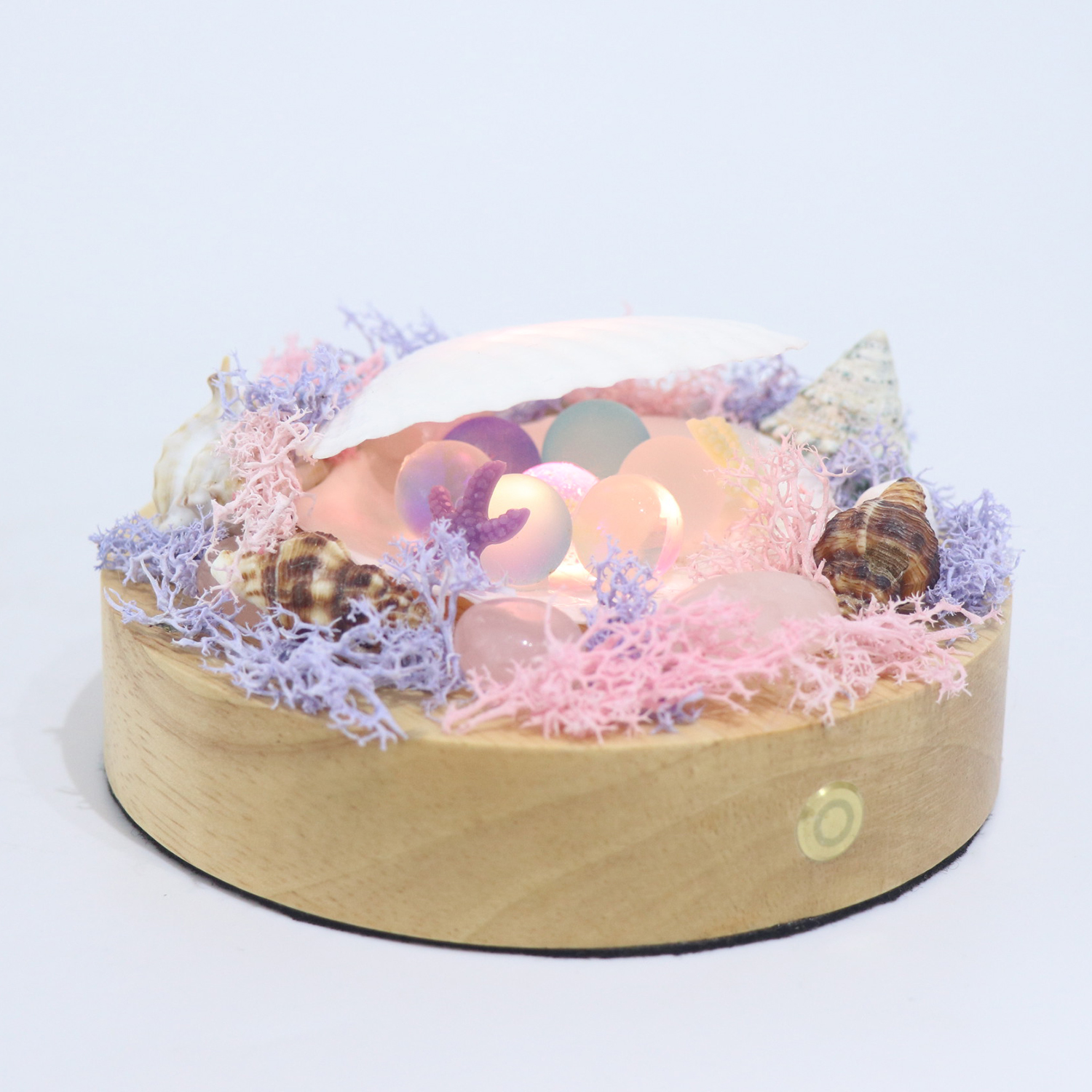 Concha hecha a mano Conch Lámpara de mesa pequeña con sonido de onda