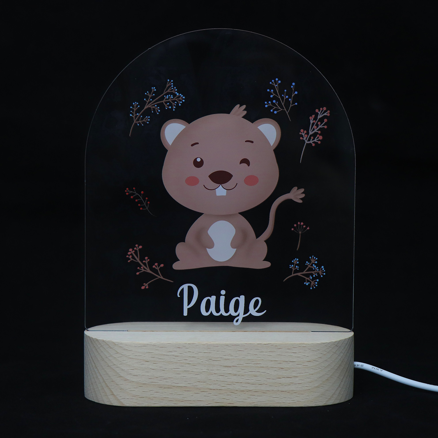 Lindos animales acrílico UV Night Light 