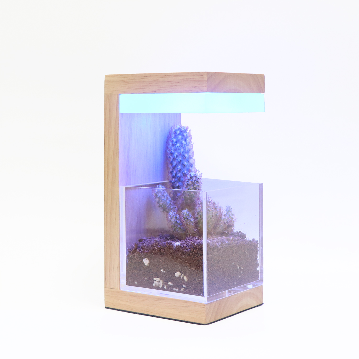 RGB 7 colores Planta LED de madera Luz de cultivo 