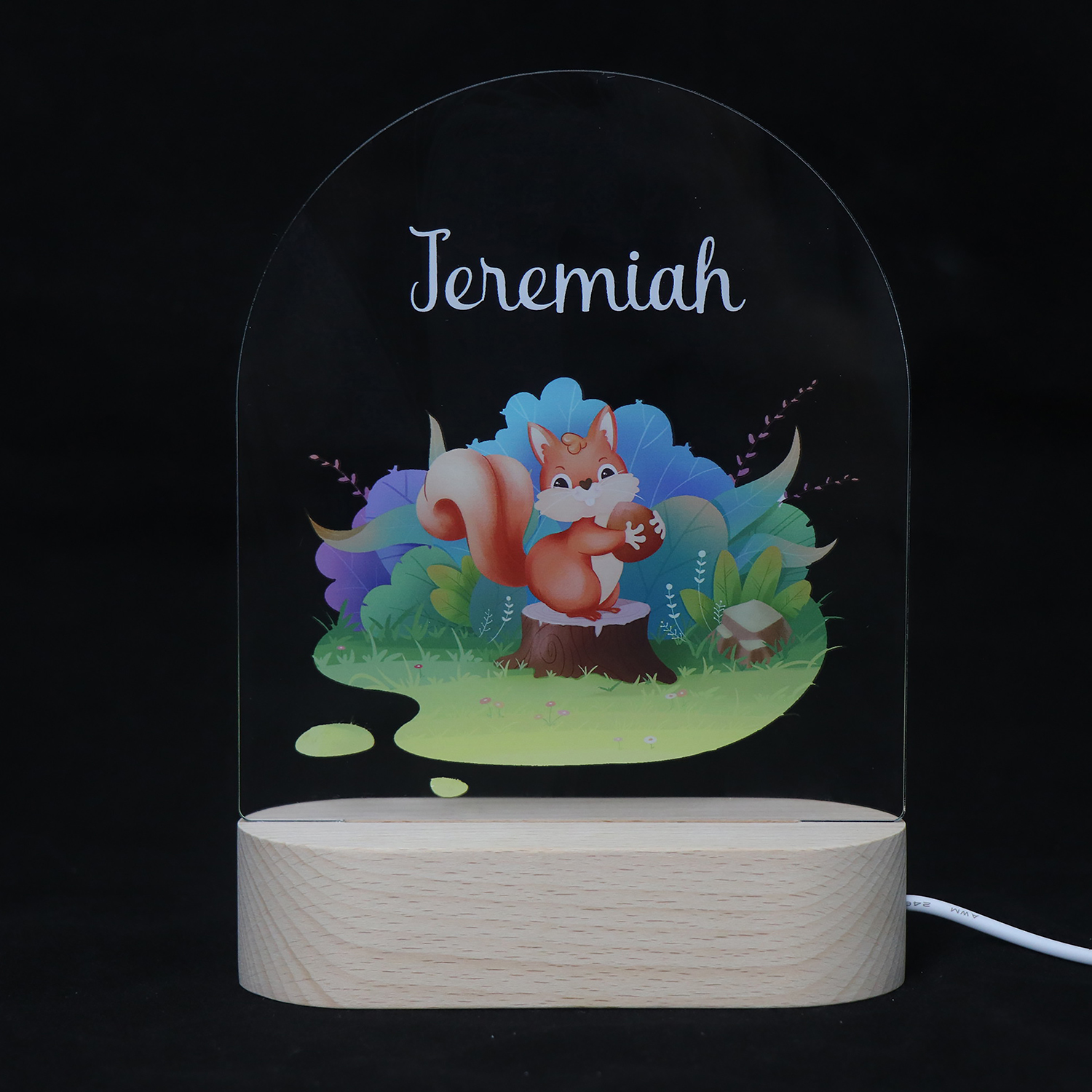 Nombre personalizado Lámpara acrílica UV Luz nocturna de animales pequeños usb