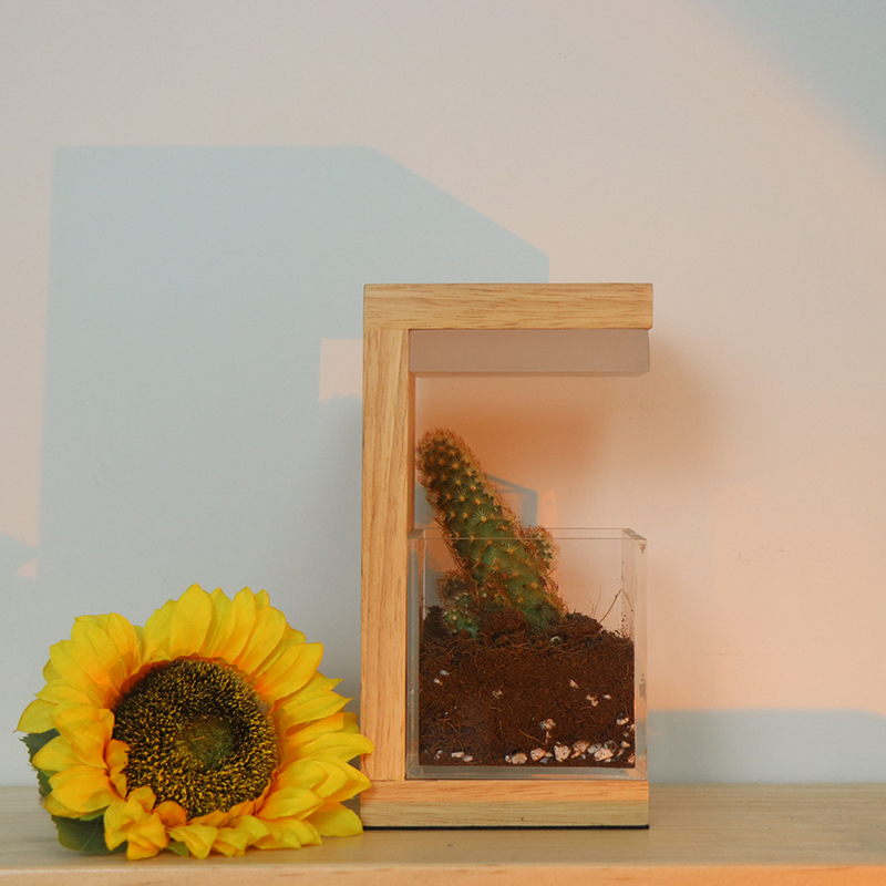 RGB 7 colores Planta LED de madera Luz de cultivo 