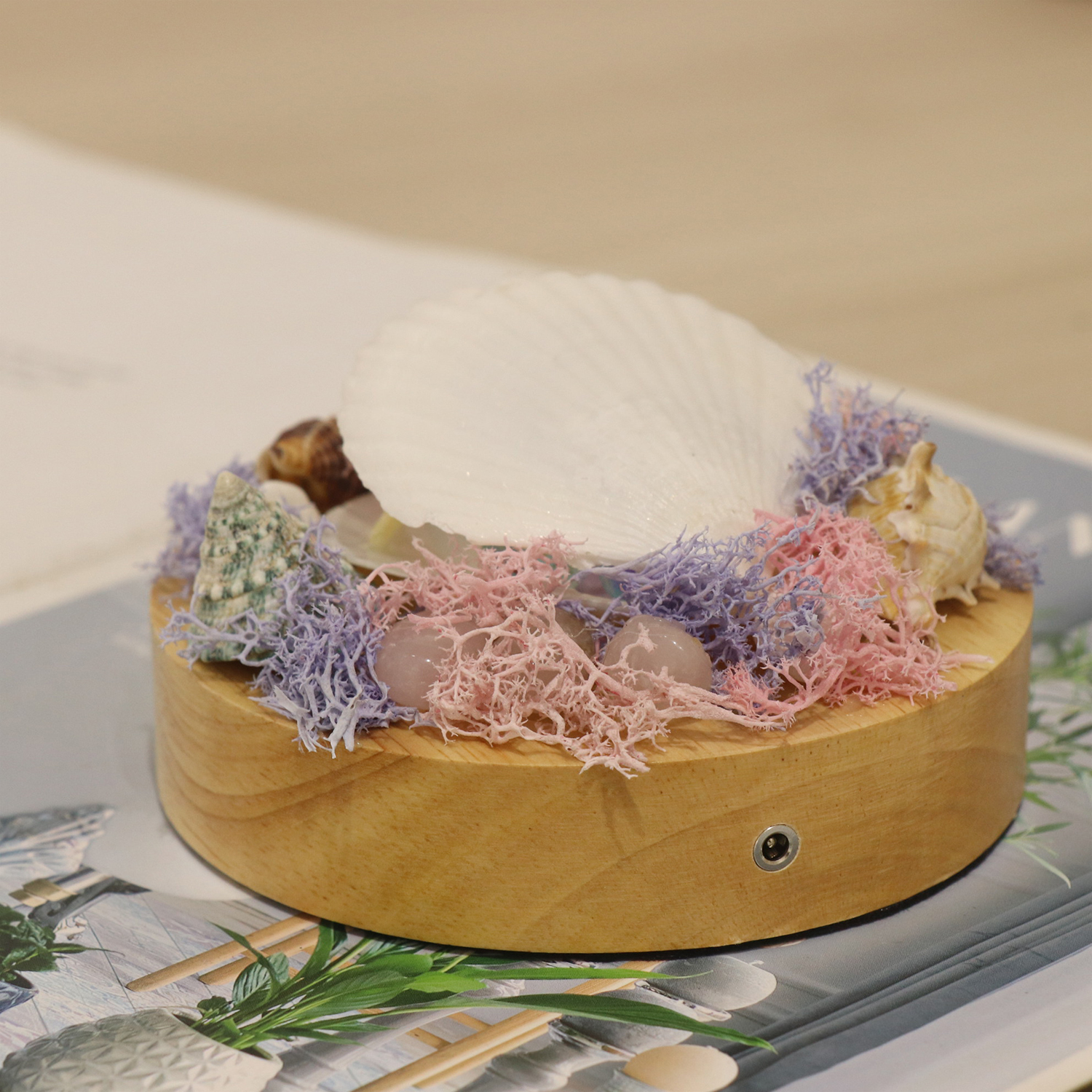 Concha hecha a mano Conch Lámpara de mesa pequeña con sonido de onda